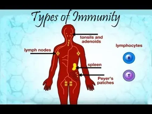 Immuniti+ : sestava samo naravne sestavine.